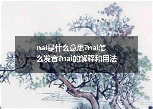 nai是什么意思?nai怎么发音?nai的解释和用法
