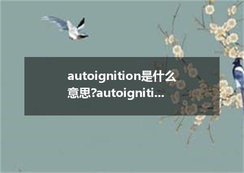 autoignition是什么意思?autoignition怎么发音?autoignition的解释和用法