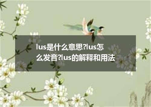 lus是什么意思?lus怎么发音?lus的解释和用法