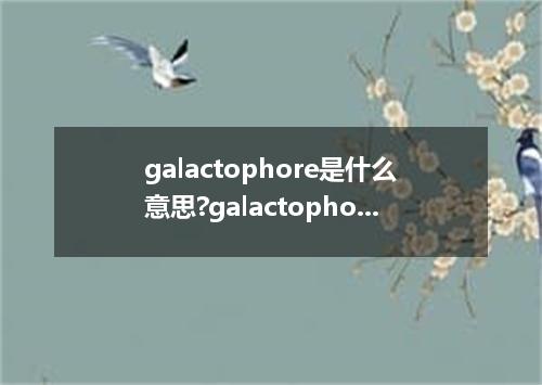galactophore是什么意思?galactophore怎么发音?galactophore的解释和用法