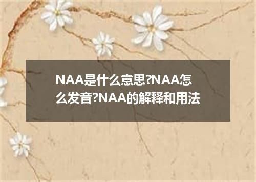 NAA是什么意思?NAA怎么发音?NAA的解释和用法
