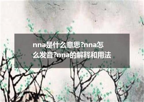 nna是什么意思?nna怎么发音?nna的解释和用法