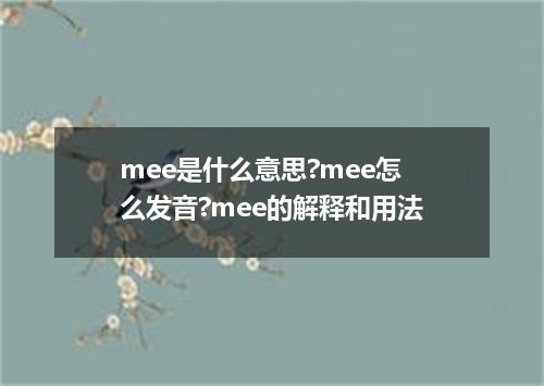 mee是什么意思?mee怎么发音?mee的解释和用法