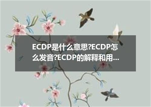 ECDP是什么意思?ECDP怎么发音?ECDP的解释和用法