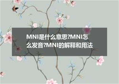 MNI是什么意思?MNI怎么发音?MNI的解释和用法