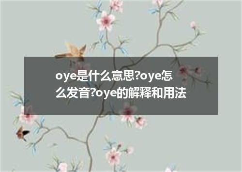 oye是什么意思?oye怎么发音?oye的解释和用法