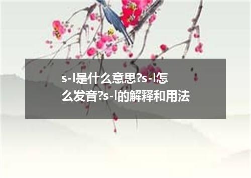 s-l是什么意思?s-l怎么发音?s-l的解释和用法
