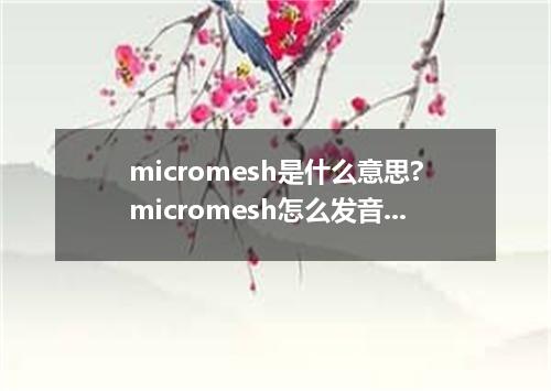 micromesh是什么意思?micromesh怎么发音?micromesh的解释和用法