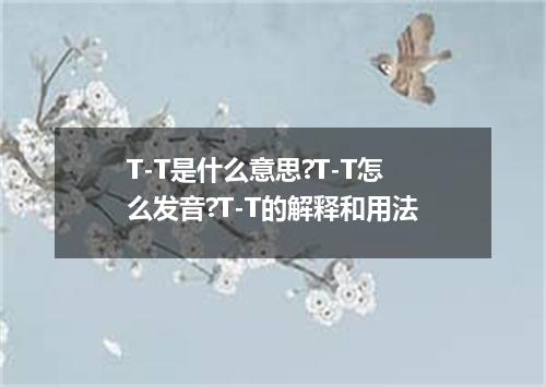 T-T是什么意思?T-T怎么发音?T-T的解释和用法