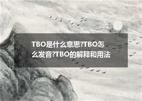 TBO是什么意思?TBO怎么发音?TBO的解释和用法