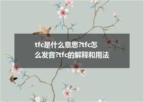 tfc是什么意思?tfc怎么发音?tfc的解释和用法