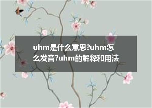 uhm是什么意思?uhm怎么发音?uhm的解释和用法
