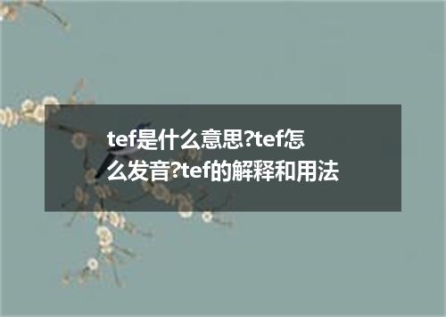 tef是什么意思?tef怎么发音?tef的解释和用法