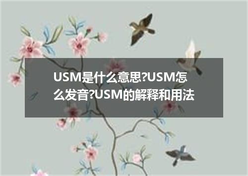 USM是什么意思?USM怎么发音?USM的解释和用法