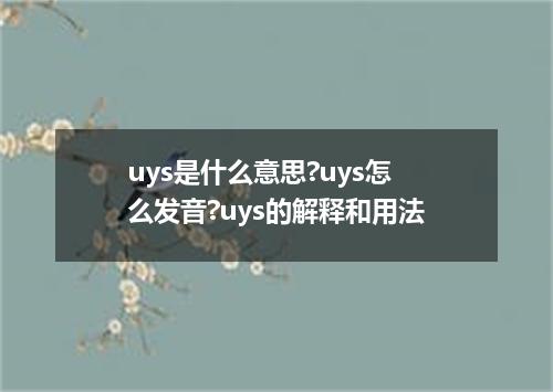 uys是什么意思?uys怎么发音?uys的解释和用法