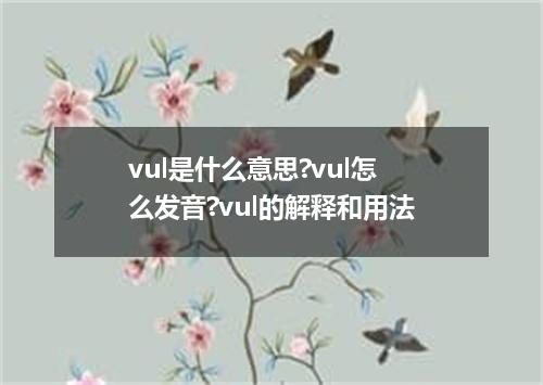 vul是什么意思?vul怎么发音?vul的解释和用法