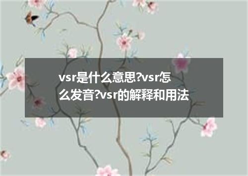 vsr是什么意思?vsr怎么发音?vsr的解释和用法