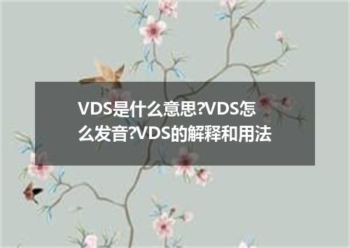 VDS是什么意思?VDS怎么发音?VDS的解释和用法