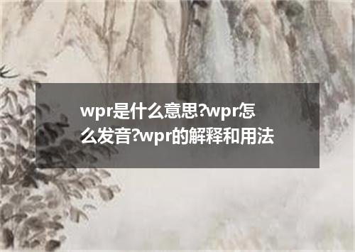 wpr是什么意思?wpr怎么发音?wpr的解释和用法