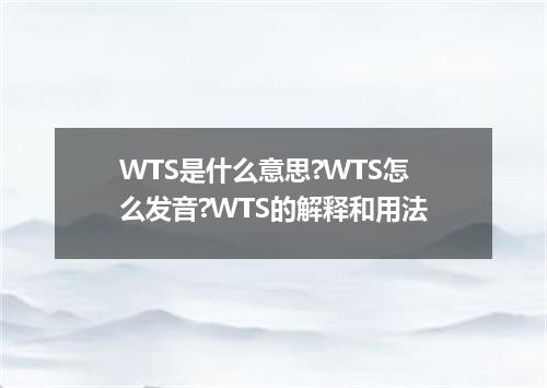 WTS是什么意思?WTS怎么发音?WTS的解释和用法