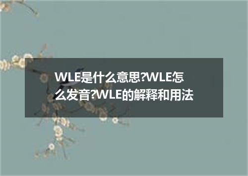 WLE是什么意思?WLE怎么发音?WLE的解释和用法