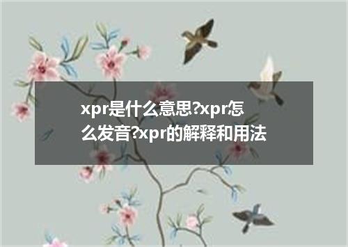 xpr是什么意思?xpr怎么发音?xpr的解释和用法