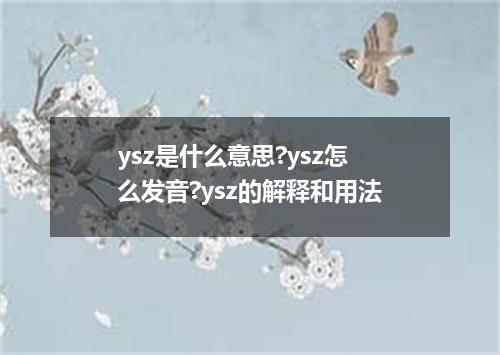 ysz是什么意思?ysz怎么发音?ysz的解释和用法