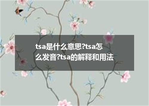 tsa是什么意思?tsa怎么发音?tsa的解释和用法