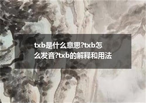 txb是什么意思?txb怎么发音?txb的解释和用法