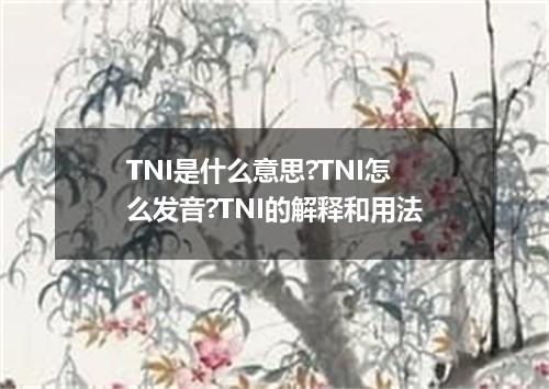 TNI是什么意思?TNI怎么发音?TNI的解释和用法