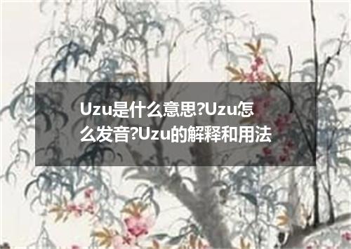Uzu是什么意思?Uzu怎么发音?Uzu的解释和用法