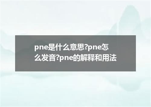pne是什么意思?pne怎么发音?pne的解释和用法