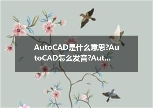 AutoCAD是什么意思?AutoCAD怎么发音?AutoCAD的解释和用法