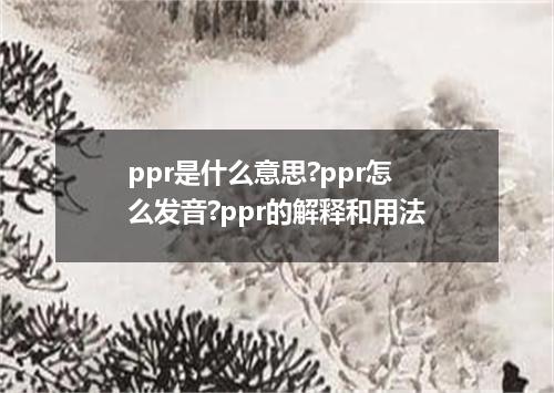 ppr是什么意思?ppr怎么发音?ppr的解释和用法