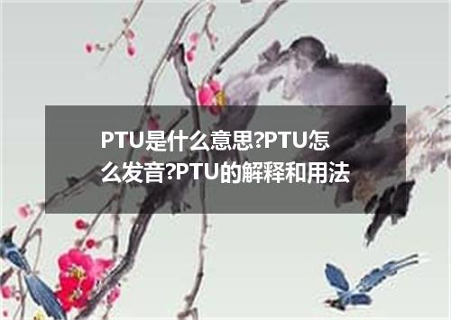 PTU是什么意思?PTU怎么发音?PTU的解释和用法