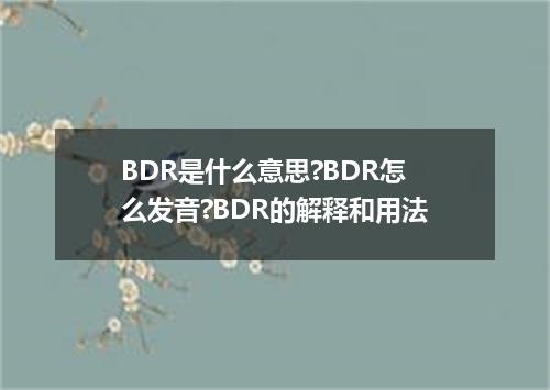 BDR是什么意思?BDR怎么发音?BDR的解释和用法