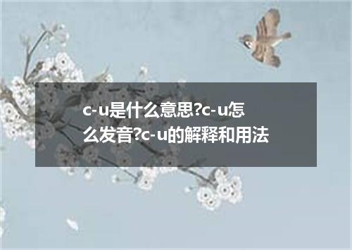 c-u是什么意思?c-u怎么发音?c-u的解释和用法