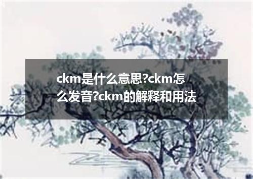 ckm是什么意思?ckm怎么发音?ckm的解释和用法