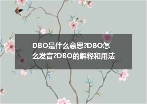 DBO是什么意思?DBO怎么发音?DBO的解释和用法