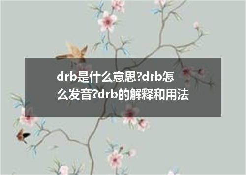 drb是什么意思?drb怎么发音?drb的解释和用法
