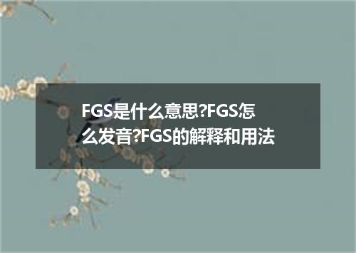 FGS是什么意思?FGS怎么发音?FGS的解释和用法