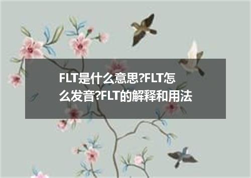 FLT是什么意思?FLT怎么发音?FLT的解释和用法