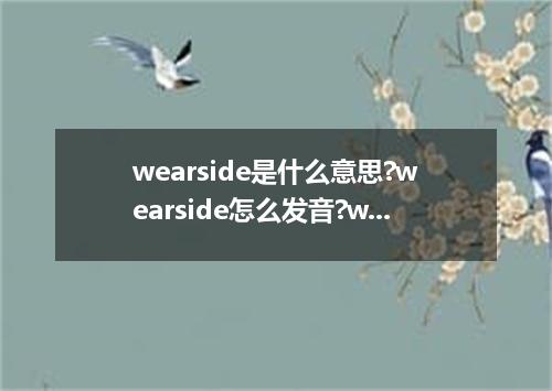 wearside是什么意思?wearside怎么发音?wearside的解释和用法