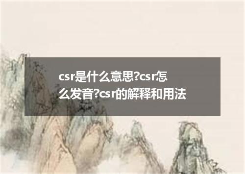 csr是什么意思?csr怎么发音?csr的解释和用法