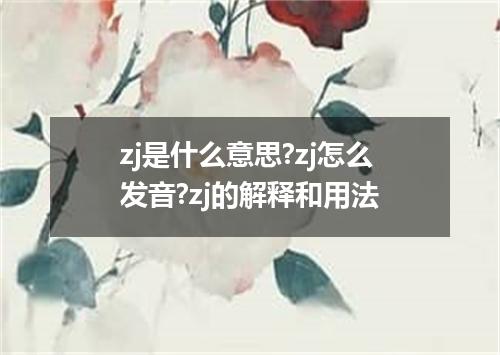 zj是什么意思?zj怎么发音?zj的解释和用法