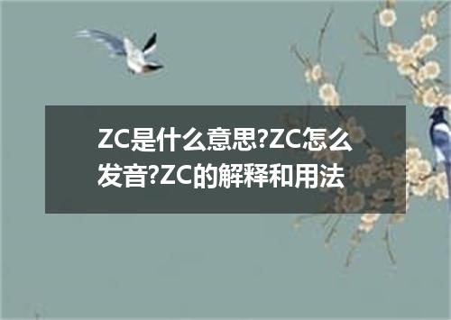 ZC是什么意思?ZC怎么发音?ZC的解释和用法