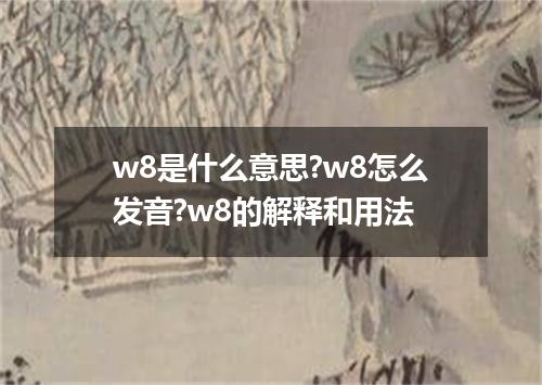 w8是什么意思?w8怎么发音?w8的解释和用法