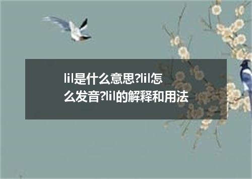 lil是什么意思?lil怎么发音?lil的解释和用法