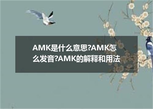 AMK是什么意思?AMK怎么发音?AMK的解释和用法