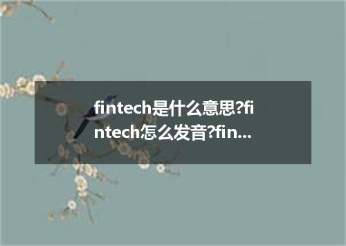 fintech是什么意思?fintech怎么发音?fintech的解释和用法